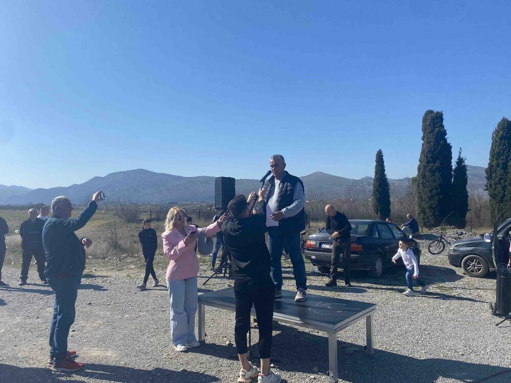 Dimitrije Raičković