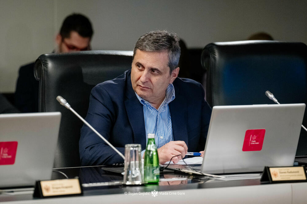 Ministar Radunović na 113. sjednici Vlade CG