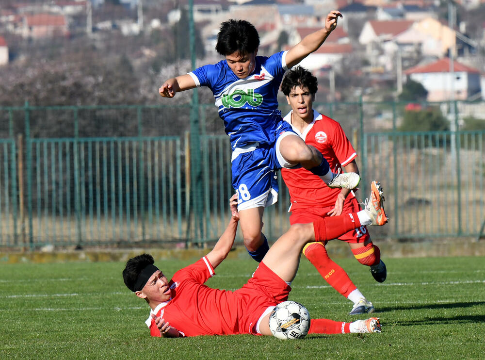 <p>MeridianBet Druga fudbalska liga</p>