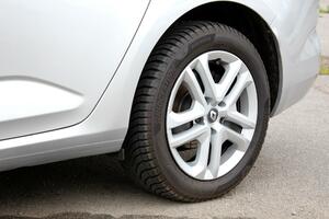 Državljanin BiH vozilom usmrtio srnu u Bijelom Polju