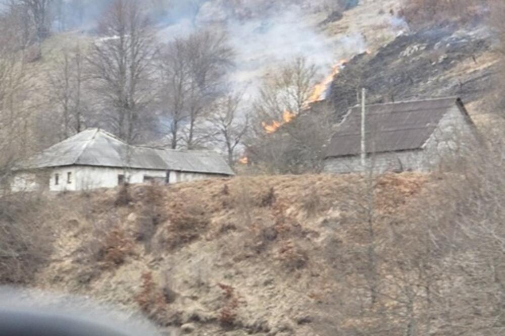 Ilustracija, Foto: Jadranka Ćetković