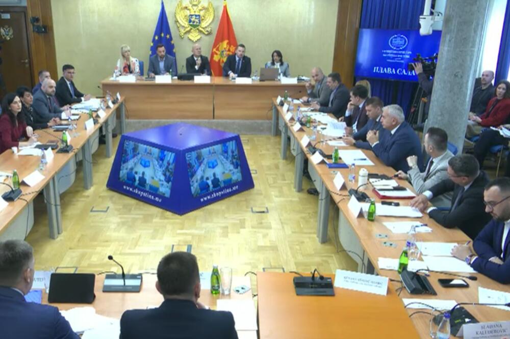 Sa zajedničke sjednice, Foto: Screenshot/Youtube/Skupština Crne Gore