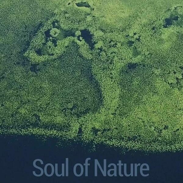 Duša prirode potrebnija nego ikad