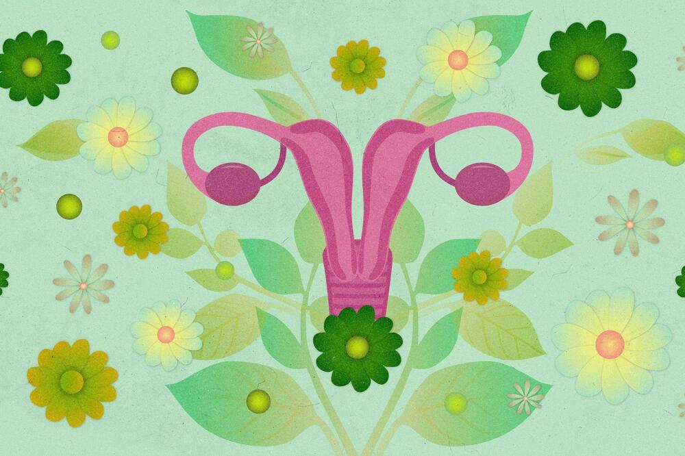 Dupla materica je retka anomalija gde žena ima dve odvojene materične šupljine, često sa po jednim grlićem, a ponekad i dve vagine, Foto: Jakov Ponjavić/BBC