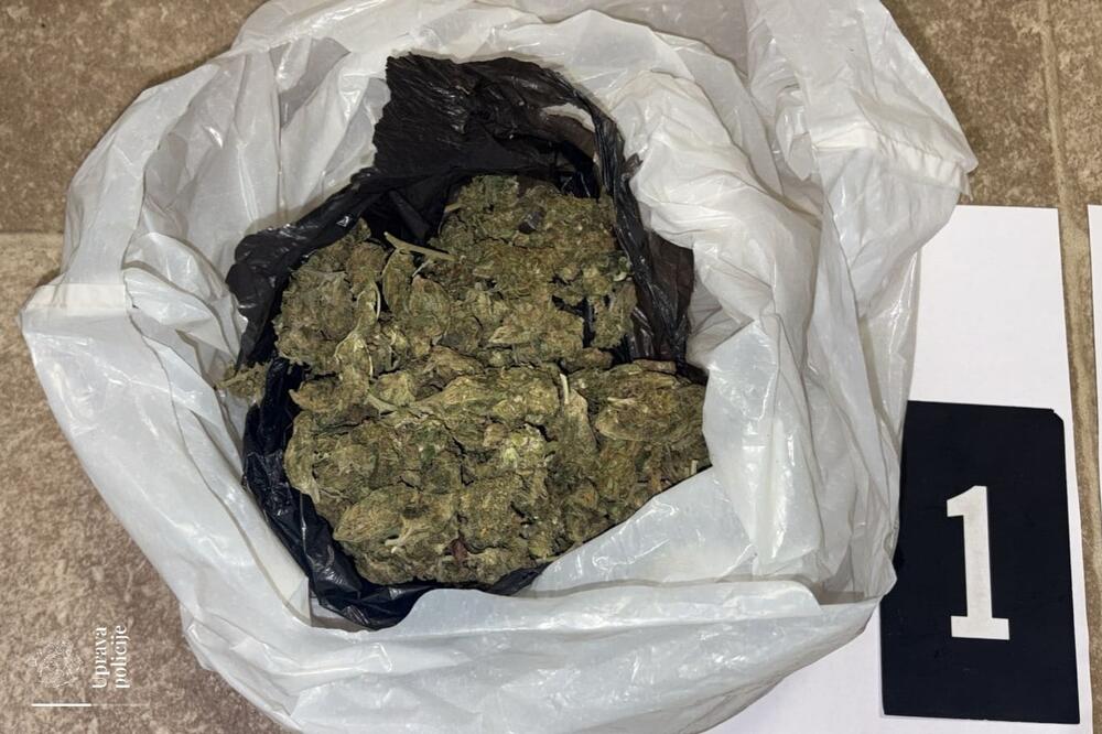 Pronađena droga, Foto: Uprava policije