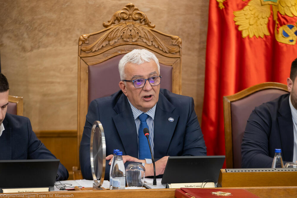 Mandić, Foto: Skupština Crne Gore/M.Matković