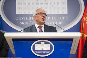 Mandić odgovorio Tužilačkom savjetu: Nezakonitim uticajem i...