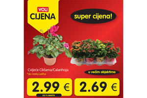 Četvrtak je u znaku novih Voli cijena!