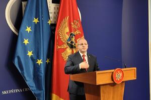 Milović: Dok građani jedva sastavljaju kraj s krajem, vlast dijeli...