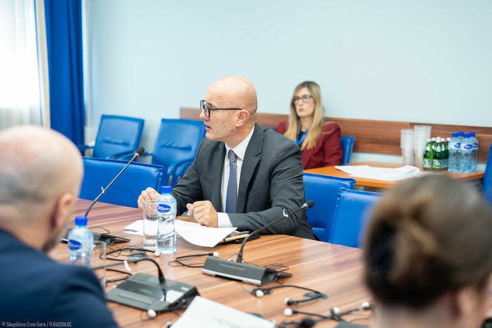 Foto: Skupština Crne Gore/R.Radonjić