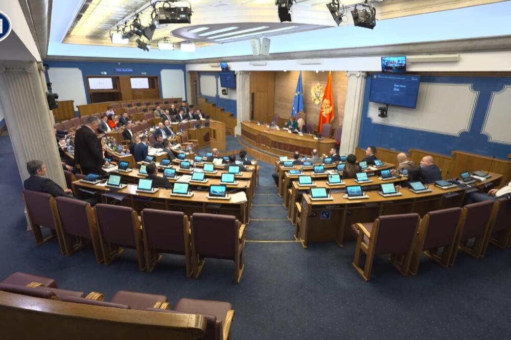 Sa sjednice Skupštine, Foto: Printscreen/Youtube/Skupština Crne Gore