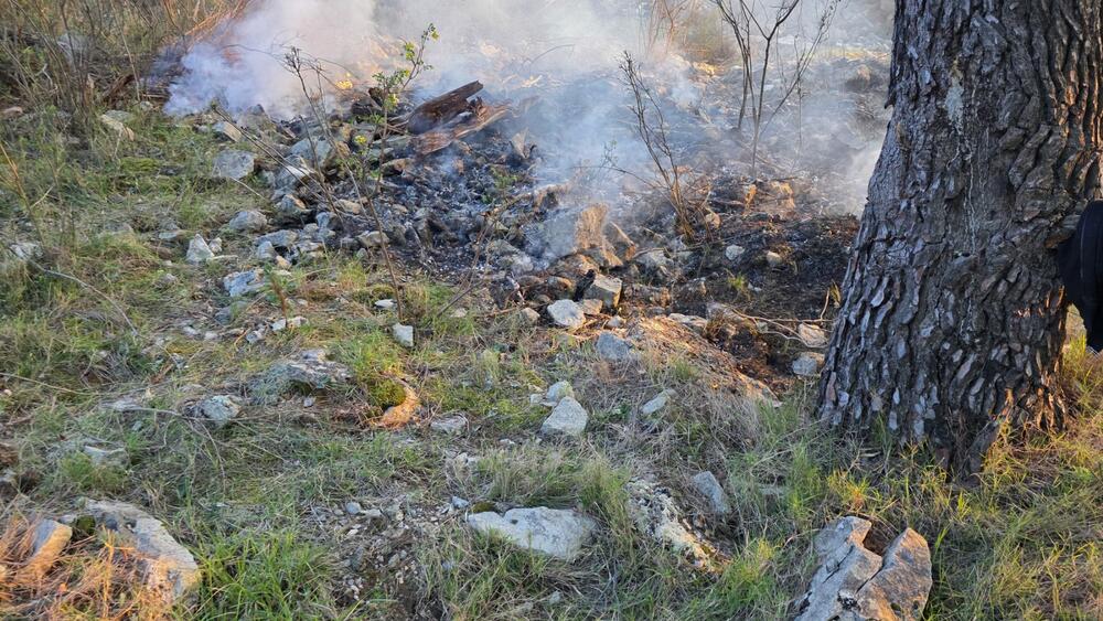 <p>Prema riječima komandira Službe zaštite i spašavanja Opštine Tivat Milorada Giljače, gorelo je oko 300 kvadrata niskog rastinja a vatra je prijetila da zahvati gustu borovu šumu što je spriječila efikasna reakcija gasilaca</p>