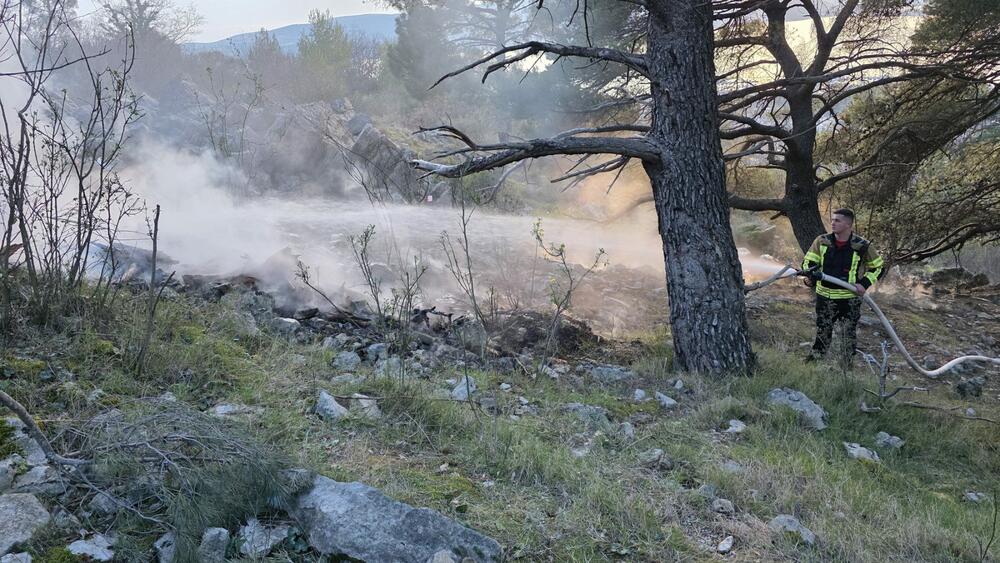 <p>Prema riječima komandira Službe zaštite i spašavanja Opštine Tivat Milorada Giljače, gorelo je oko 300 kvadrata niskog rastinja a vatra je prijetila da zahvati gustu borovu šumu što je spriječila efikasna reakcija gasilaca</p>