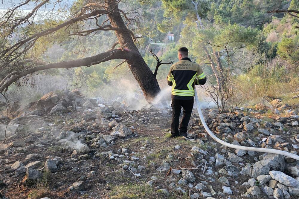 Foto: Služba zaštite i spašavanja Tivat