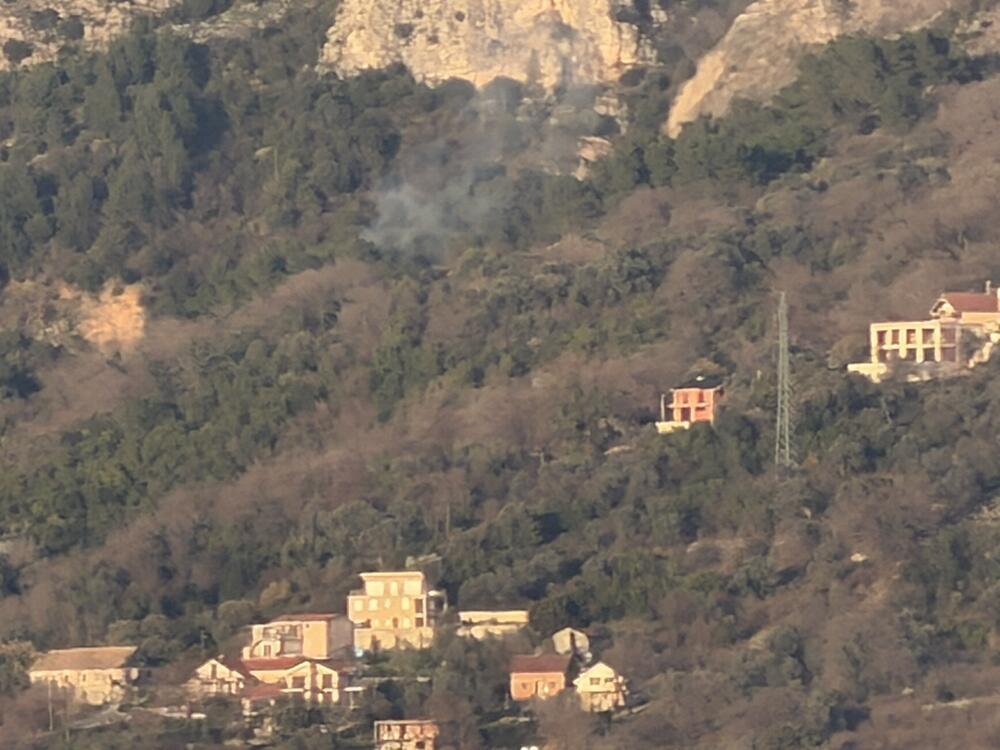 <p>Prema riječima komandira Službe zaštite i spašavanja Opštine Tivat Milorada Giljače, gorelo je oko 300 kvadrata niskog rastinja a vatra je prijetila da zahvati gustu borovu šumu što je spriječila efikasna reakcija gasilaca</p>