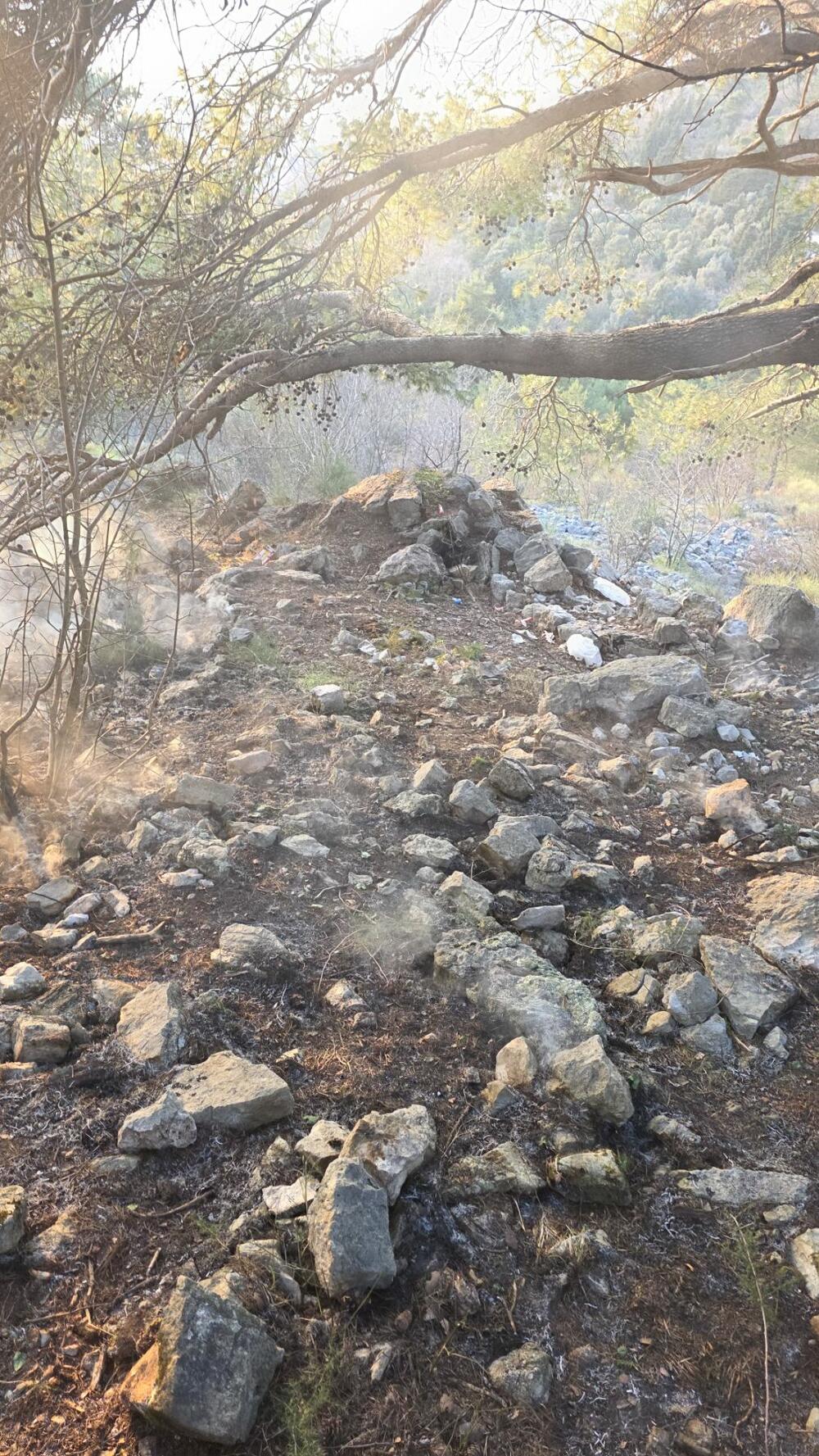 <p>Prema riječima komandira Službe zaštite i spašavanja Opštine Tivat Milorada Giljače, gorelo je oko 300 kvadrata niskog rastinja a vatra je prijetila da zahvati gustu borovu šumu što je spriječila efikasna reakcija gasilaca</p>