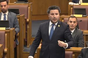 Abazović na čelu Anketnog odbora o Vjetroelektrani "Možura",...