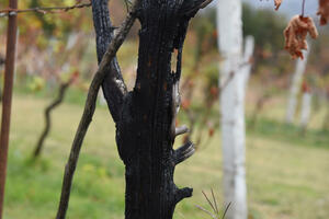 Građani još čekaju na simboličnu pomoć: Sedam mjeseci od velikih...