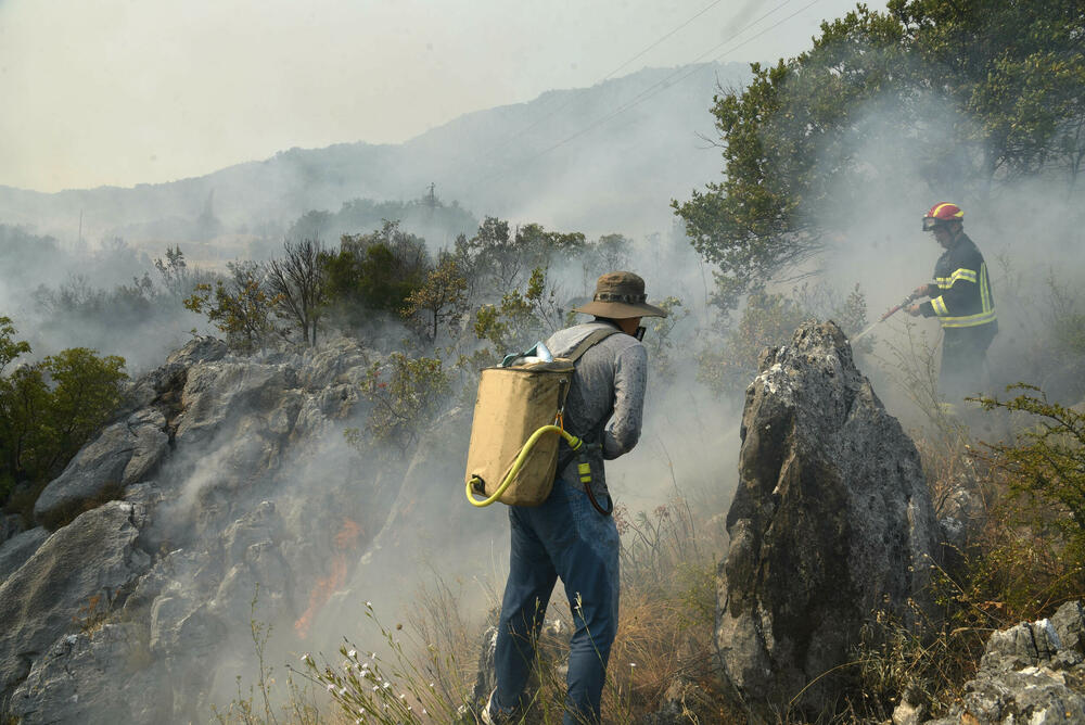 U gašenju požara pomagali i građani, ali i vatrogasci iz drugih opština, Austrije i Švajcarske