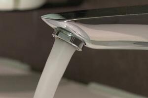 U februaru u Podgorici bilo 25 kišnih dana, ali zamućenja vode...