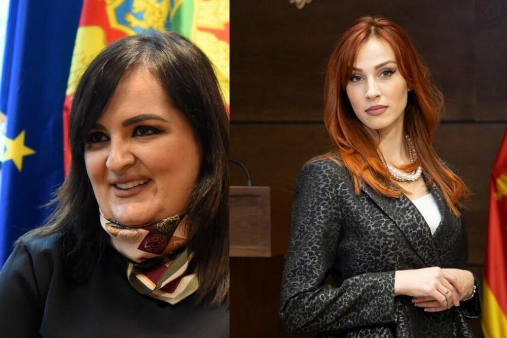 Nišić i Vojinović, Foto: Luka Zeković/Demokratska Crna Gora