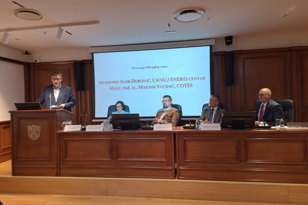 Detalj sa okruglog stola, Foto: Mirko Kotlaš