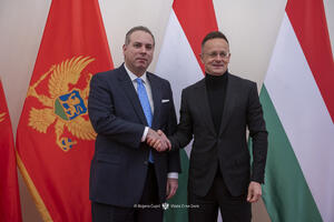 Sijarto: Crna Gora primjer da dosljedno sprovođenje reformi može...