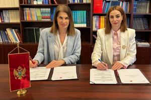 Centar i Savjet stranih investitora ozvaničili stratešku saradnju