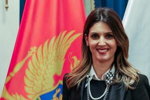 Vukajlović: Smanjenje akciza moglo bi sniziti cijenu goriva za 27...