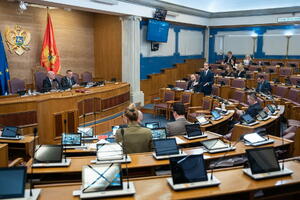 Vuković Kuč: Sistemsko urušavanje parlamenta; Čarapić: Kad je...