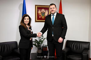 Koprivica: Vlada snažno fokusirana na reforme koje će dodatno...