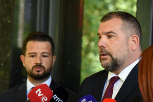 Milatović &bdquo;zabranio&rdquo; više činove: Krapović o šefu države i...