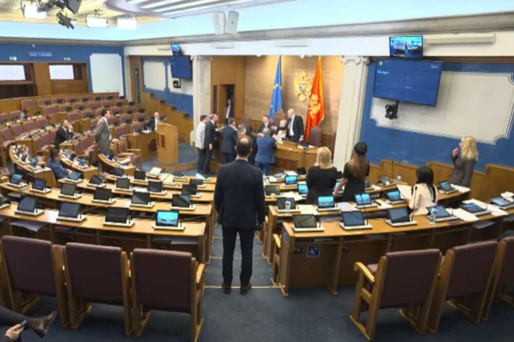 Foto: Skupština Crne Gore/Youtube