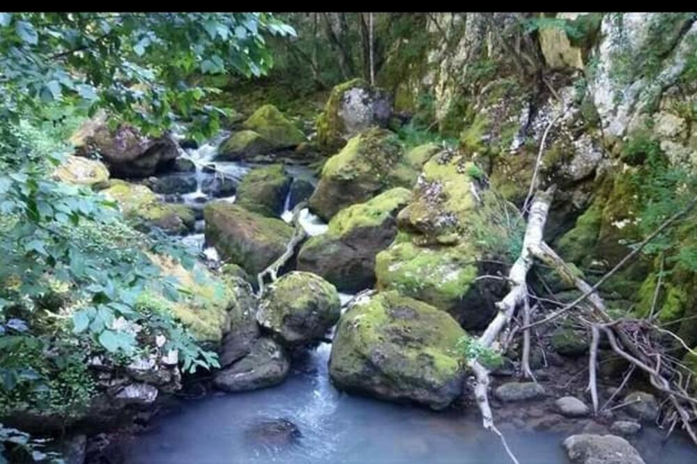 Juriško vrelo u Đalovića klisuri, Foto: Dejan Peruničić