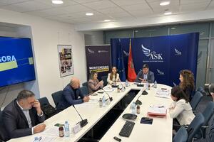 Raspisan novi konkurs za direktora ASK-a