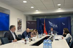 Drakić opet bez potrebne podrške Savjeta za funkciju direktora...