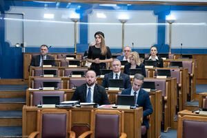 Vuković Kuč: Pejovićev atak na slobodu govora, Spajić vođenje...