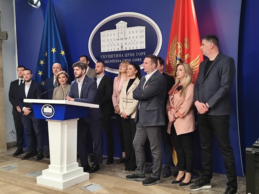 Čarapić: Odluka o odlaganju sjednice Skupštine donijeta bez PES-a