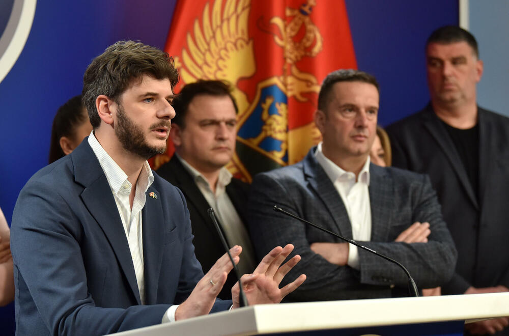 <p>"Ukoliko neko želi bez nas da određuje dinamiku evropskih integracija, neka se deklarišu, mi iza toga ne stojimo", kazao je poslanik PES-a</p>