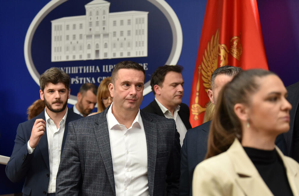 <p>"Ukoliko neko želi bez nas da određuje dinamiku evropskih integracija, neka se deklarišu, mi iza toga ne stojimo", kazao je poslanik PES-a</p>