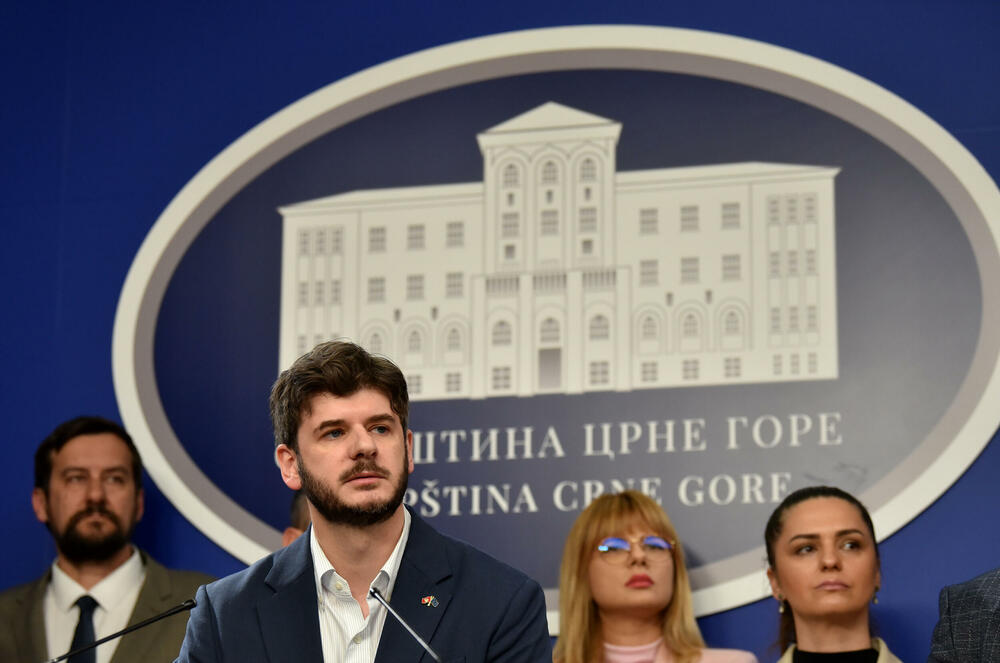 <p>"Ukoliko neko želi bez nas da određuje dinamiku evropskih integracija, neka se deklarišu, mi iza toga ne stojimo", kazao je poslanik PES-a</p>