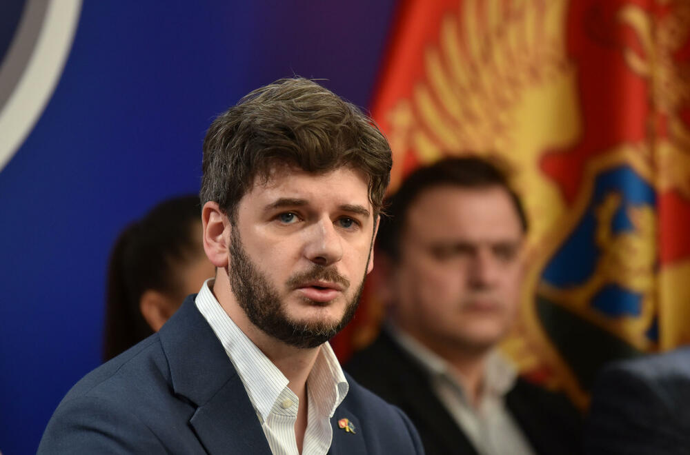 <p>"Ukoliko neko želi bez nas da određuje dinamiku evropskih integracija, neka se deklarišu, mi iza toga ne stojimo", kazao je poslanik PES-a</p>