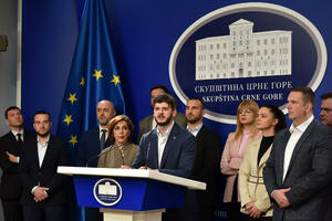 PES-u naloženo da ukloni "izložbu" posvećenu političkim...