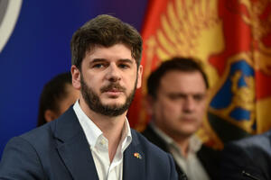 Čarapić: Odluka o odlaganju sjednice Skupštine donijeta bez PES-a