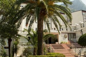 Mladić pao sa četvrtog sprata studentskog doma u Kotoru, teško...