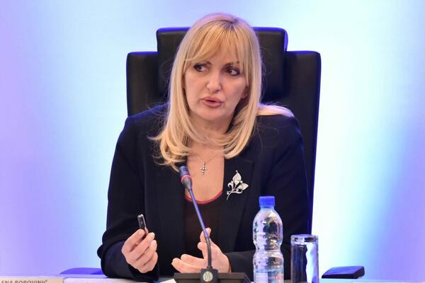 Borovinić Bojović: Einige Oppositionsräte versuchen,...