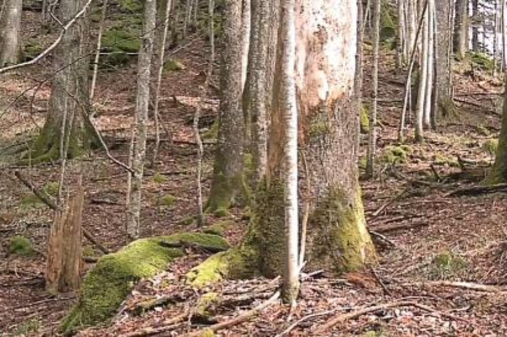 Foto: www.facebook.com/mico.baltic