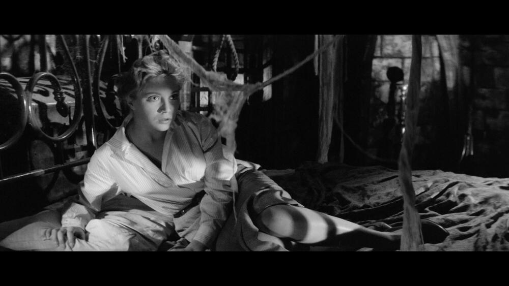 Žanrovska revolucija