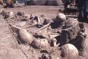 Nasilje i smrt u bronzano doba: Otkrića iz drevne masovne grobnice...
