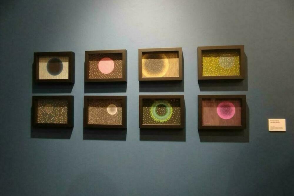 Fragmenti unutrašnjeg svemira